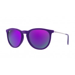 RAY-BAN ERIKA VELVET